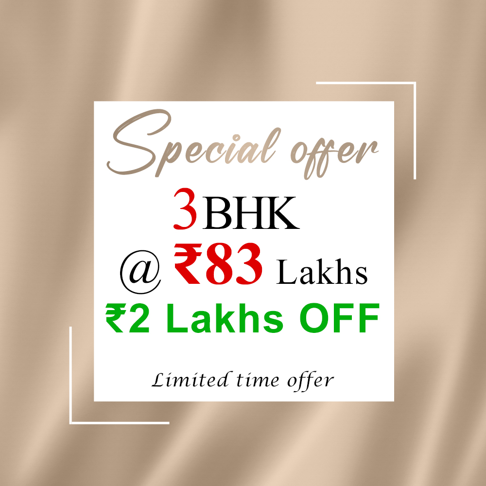 Special Offer